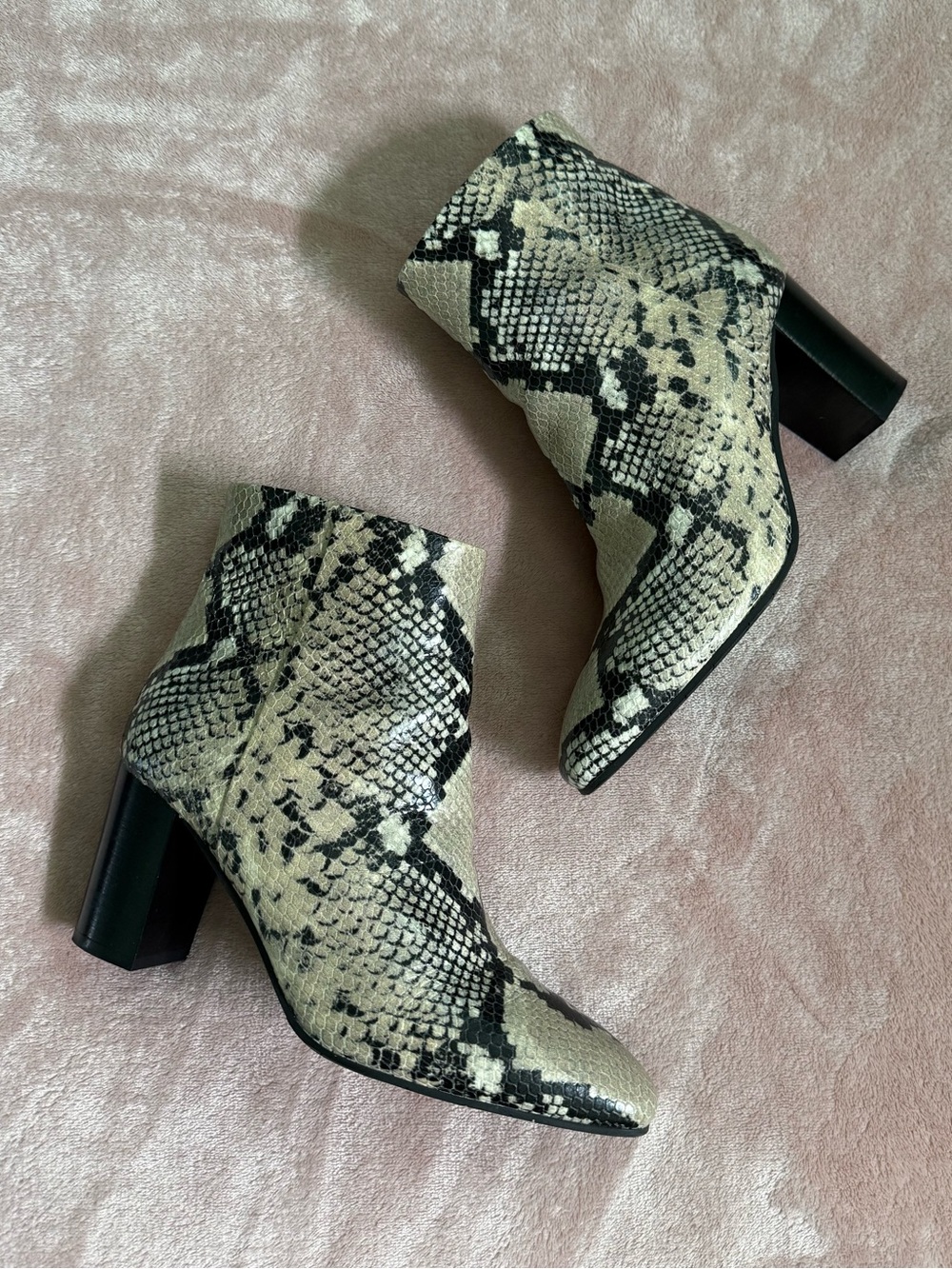 Aquatalia Snake-Print Ankle Boots in Beige and Black